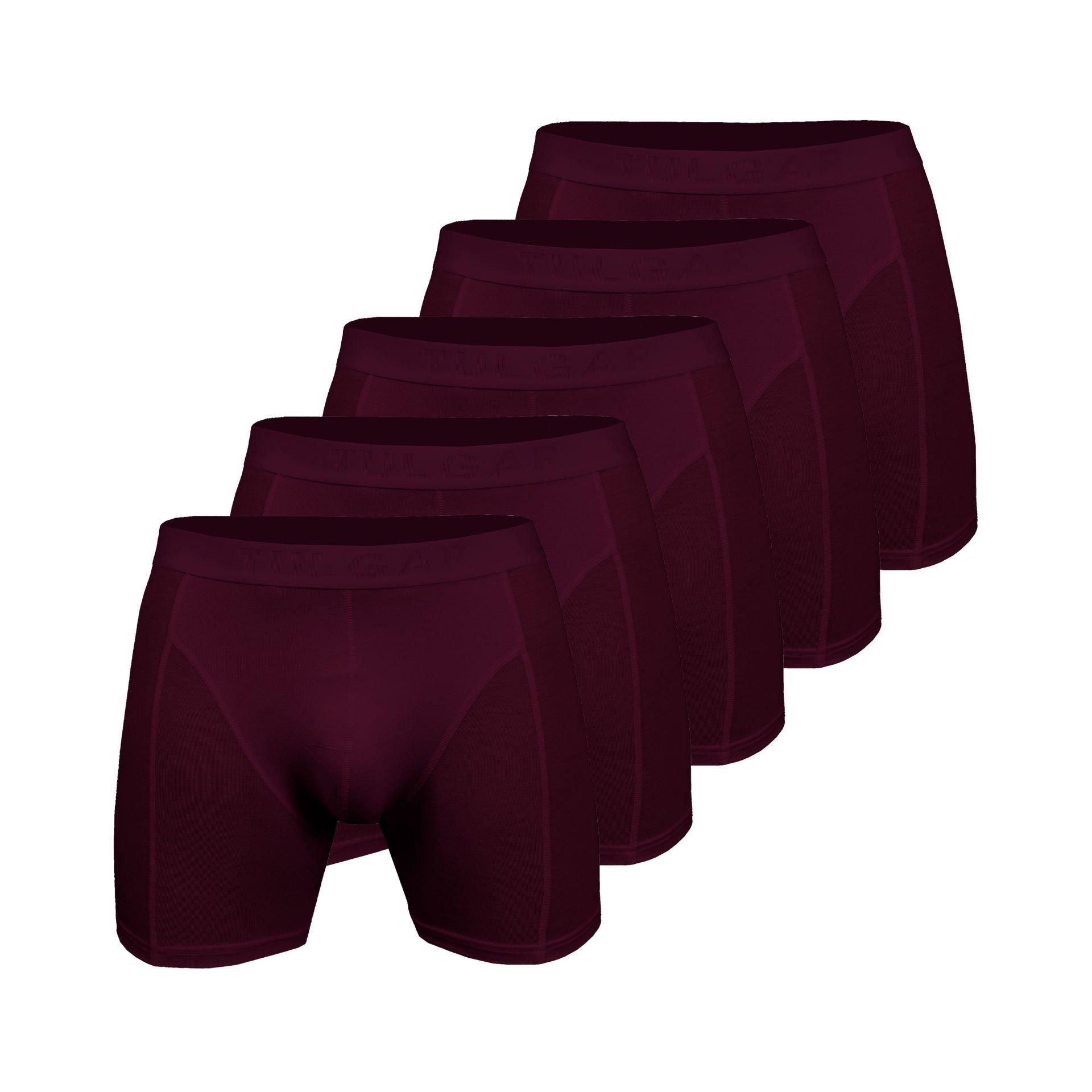 Bambu Boxershort - Bordo - 5'li Paket