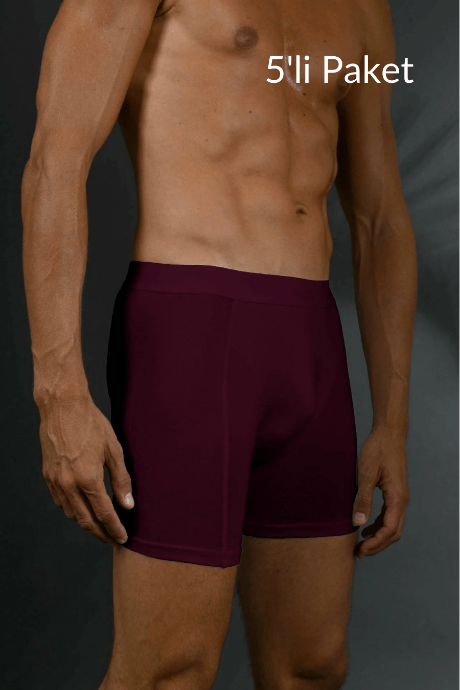 Bambu Boxershort - Bordo - 5'li Paket