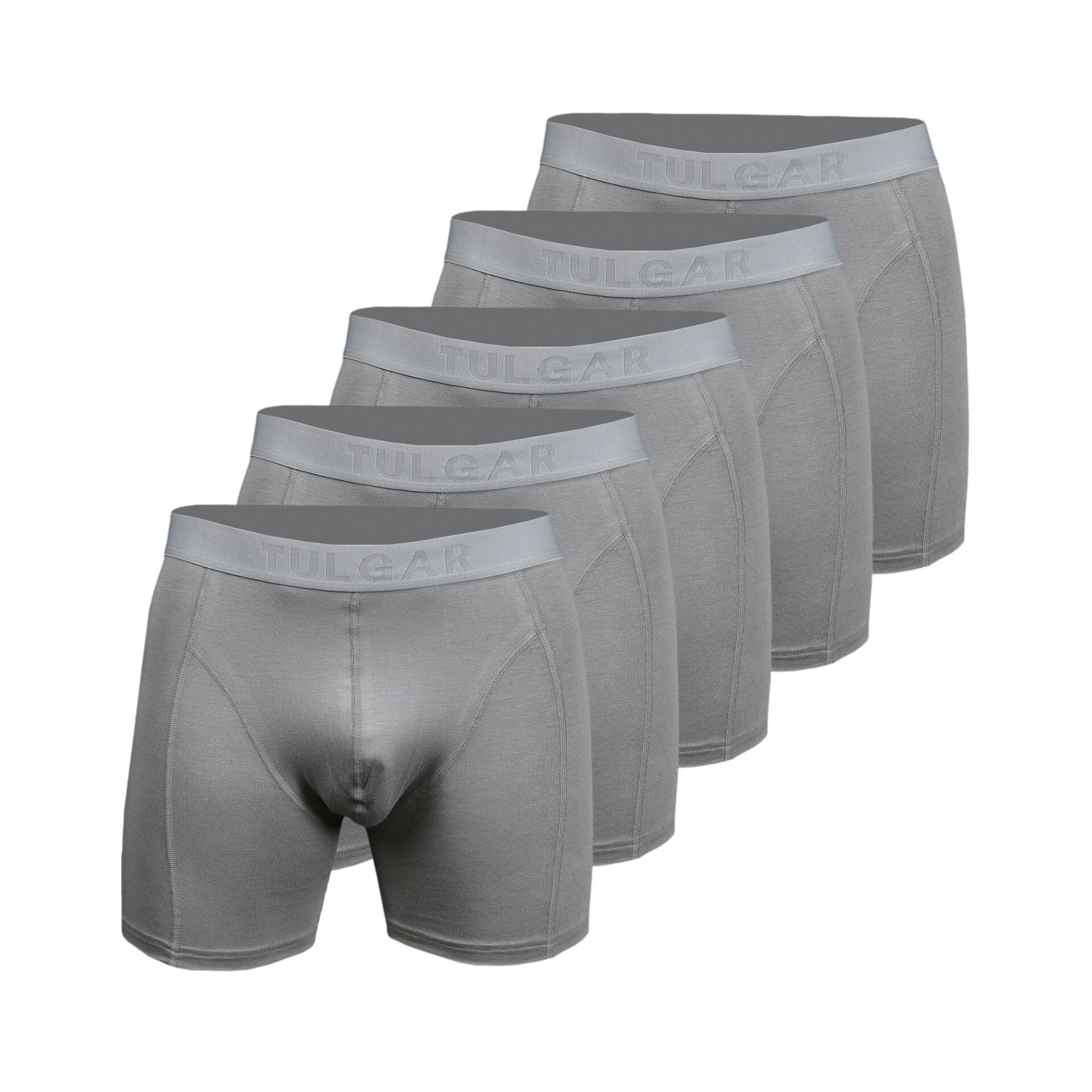 Bambu Boxershort - PUS - 5'li Paket