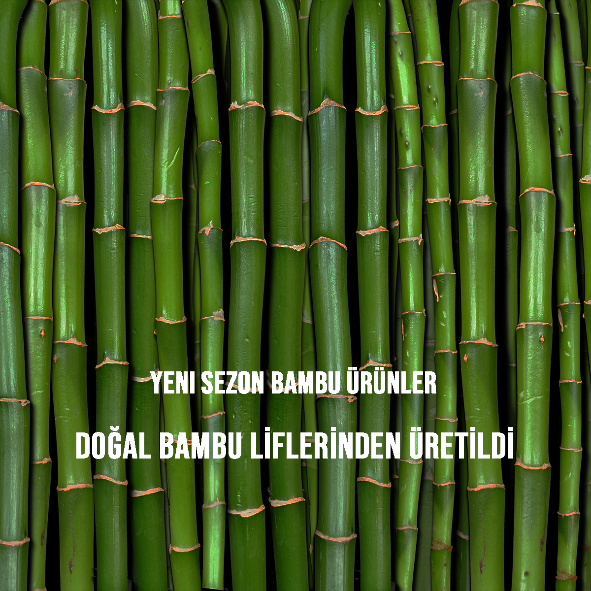 slider_image_1